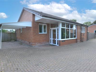 Picture 23